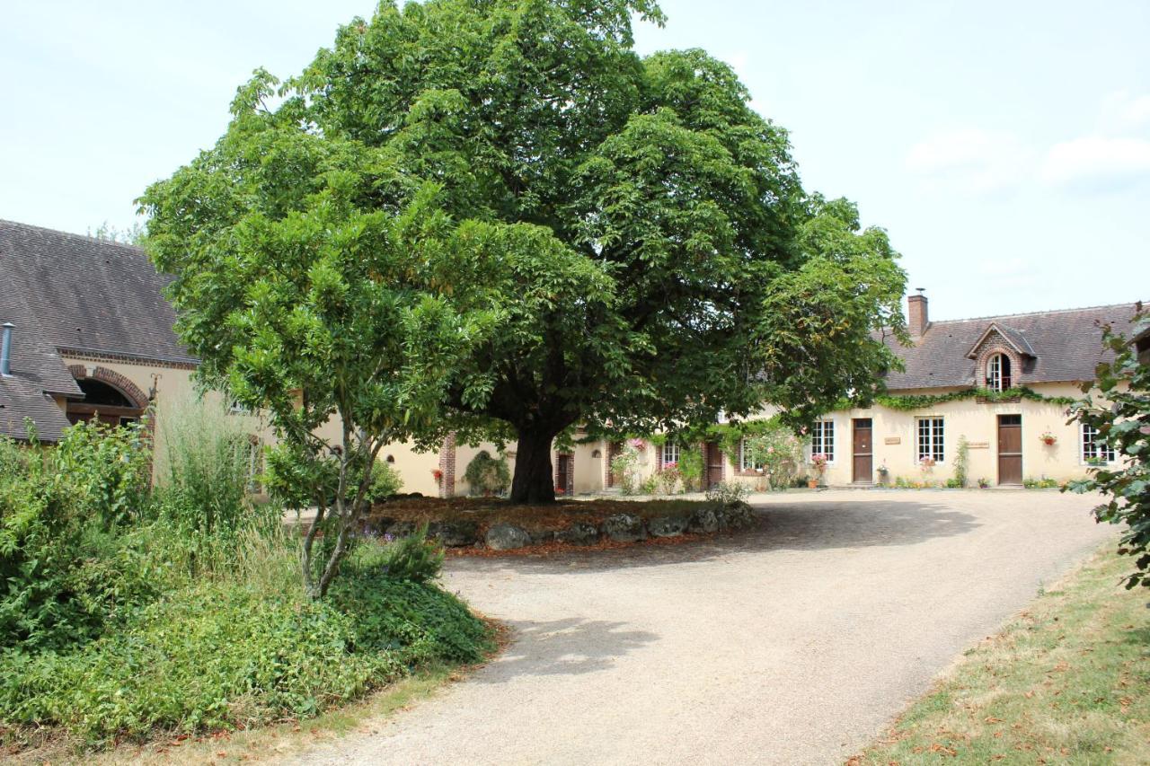 Gite Des Etangs De Beaulieu Le Plessis-Dorin Bagian luar foto