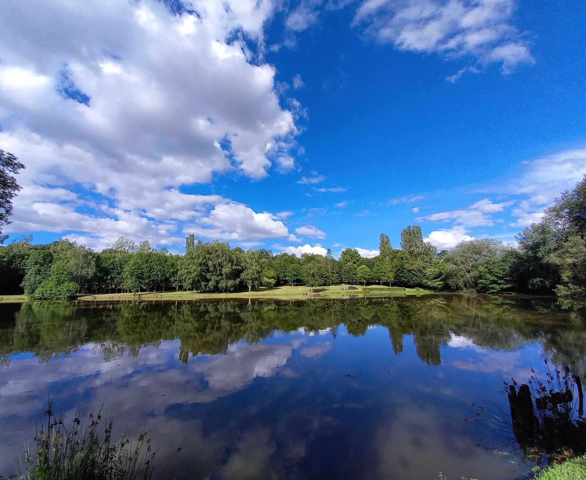 Gite Des Etangs De Beaulieu Le Plessis-Dorin Bagian luar foto