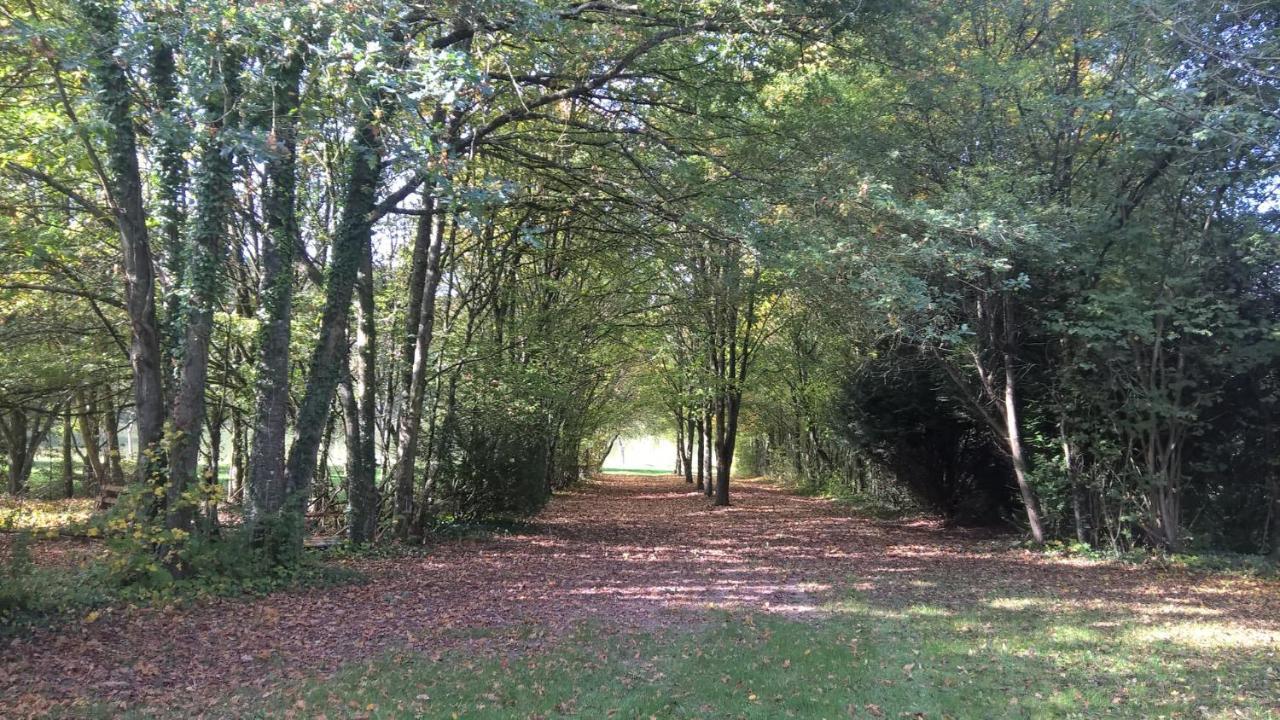 Gite Des Etangs De Beaulieu Le Plessis-Dorin Bagian luar foto