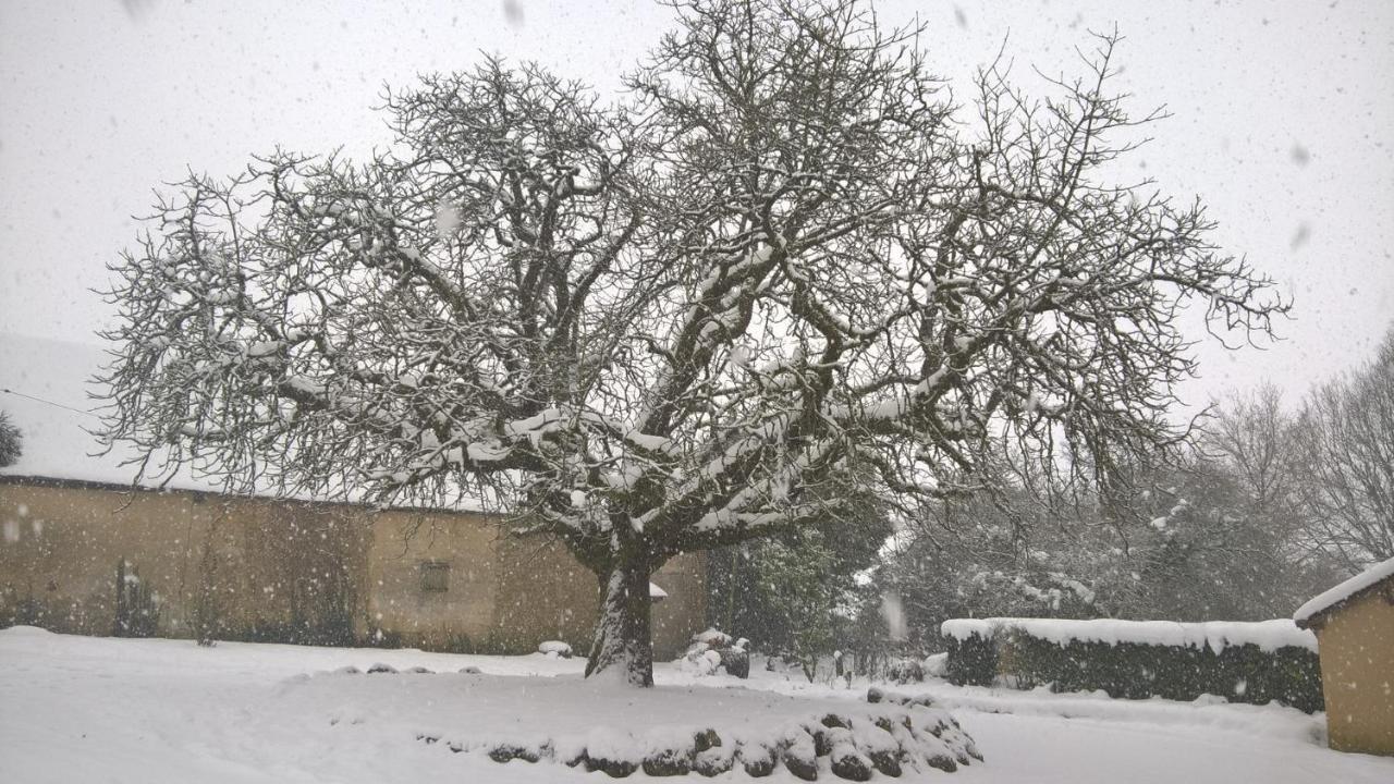 Gite Des Etangs De Beaulieu Le Plessis-Dorin Bagian luar foto
