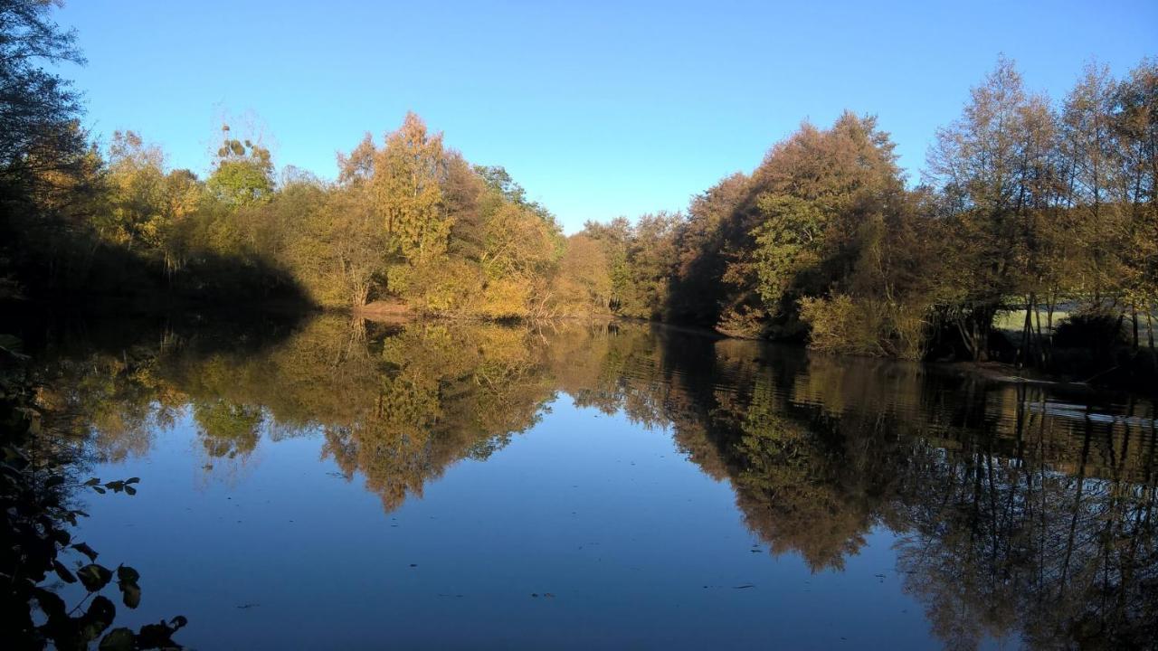 Gite Des Etangs De Beaulieu Le Plessis-Dorin Bagian luar foto